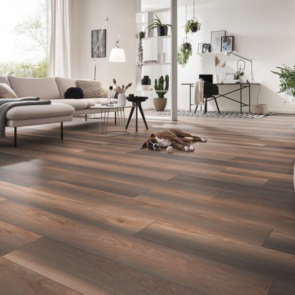 Chêne Gnarrenburg Nature -MV8116_1380_193_V4